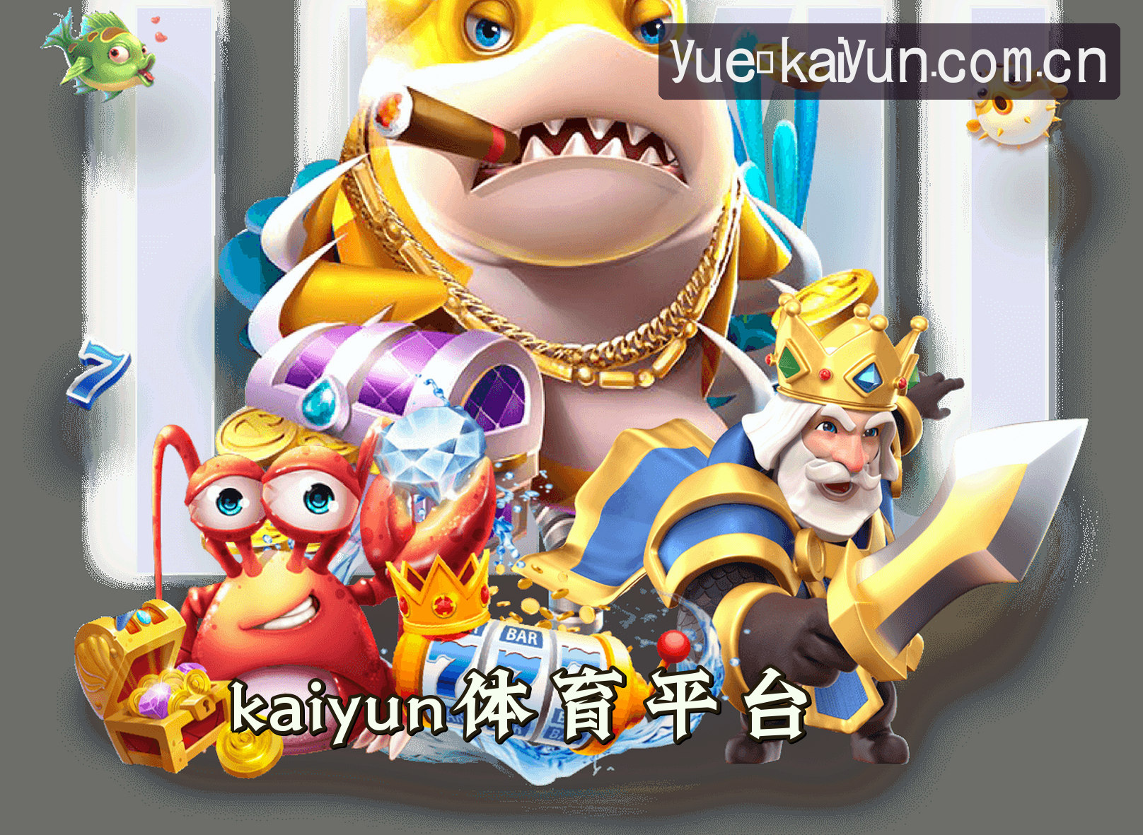 关于我们介绍